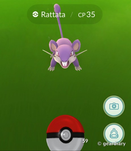 ratatta.jpg