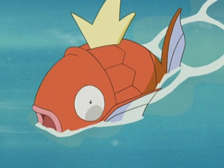 magikarp